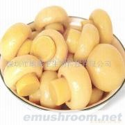 供应蘑菇罐头(图)