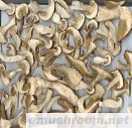 供应牛肝菌干片(图)