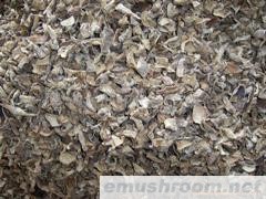 供应批发野生菌，Manbetx体育手机版V17版本发布.官网安卓网.香港，土特产，山珍汤料，