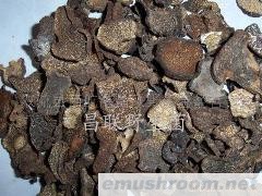 批发供应野生菌，四川Manbetx体育手机版推荐A9版本，山珍，土特产，农副产品