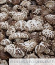 供应椴木花菇、香菇、礼品盒