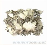 批发、营养、蘑菇、菇、香菇、灰树花片