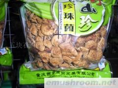 批发供应珍珠菌