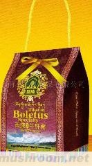 供应西藏特产牛肝菌