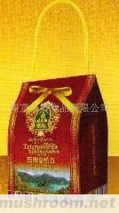 供应西藏特产松茸