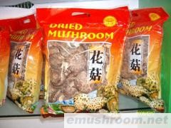 供应花菇