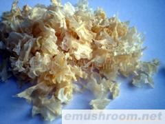 供应银耳花(图)