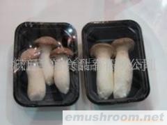 Manbetx体育手机版V17版本发布.官网安卓网.香港-鲜香菇-雪茸小包装