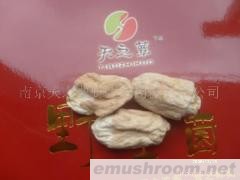 供应竹胎儿（梦荪）干品
