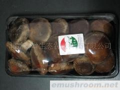 供应优质香菇