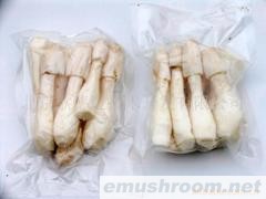 供应有机鸡腿菇