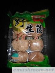 供应干猴头菇