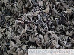 出口黑木耳(图)