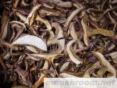 批发云南黄牛肝红葱干片 野生菌 牛肝菌网 ManBetX体育