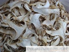 批发云南09年新货老人头干片；冬天沙老包；无虫！