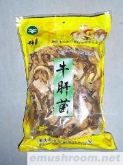 供应牛肝菌