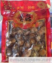 香菇