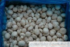 供应速冻双孢菇(整菇以及片和块)