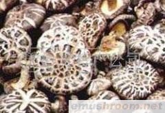 供应干香菇