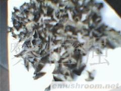 供应黑木耳