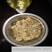 供应出口蘑菇罐头