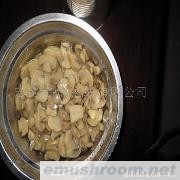 供应出口蘑菇罐头