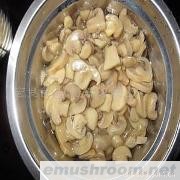 供应出口蘑菇罐头