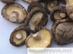 供应干香菇