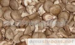 供应优质新鲜香菇