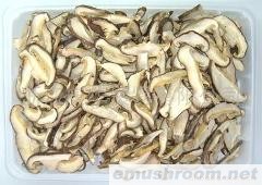 供应香菇片、蘑菇片、灰树花片、土特产、山珍、孢子粉