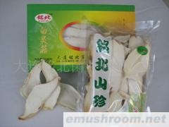 供应白灵菇