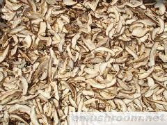 供应菌床生切菇丝香菇