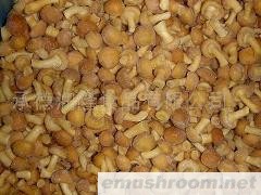 供应速冻滑子菇 速冻滑子蘑(反季节5-7月)