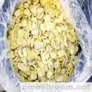 供应出口蘑菇罐头