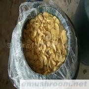 供应出口蘑菇罐头