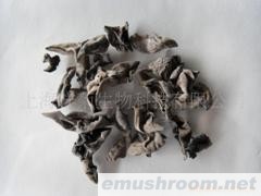 供应1级椴木黑木耳