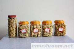 供应出口蘑菇罐头