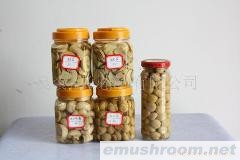 供应出口蘑菇罐头