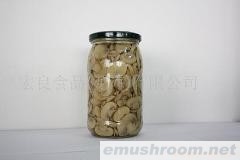 供应出口蘑菇罐头