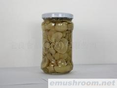 供应出口蘑菇罐头