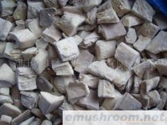 供应平菇