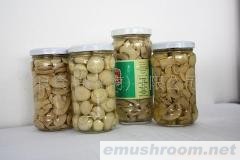 供应出口蘑菇罐头