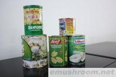 供应出口蘑菇罐头