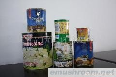 供应出口蘑菇罐头