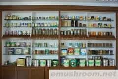 供应出口蘑菇罐头