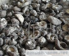 供应干香菇