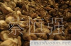 供应干香菇