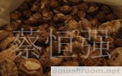 供应干香菇