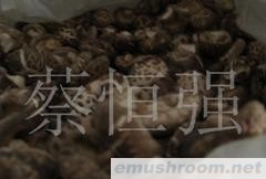 供应干香菇