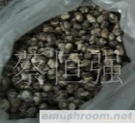 供应干香菇